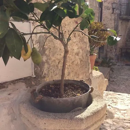 La Maison Du Bonheur Casa vacanze *